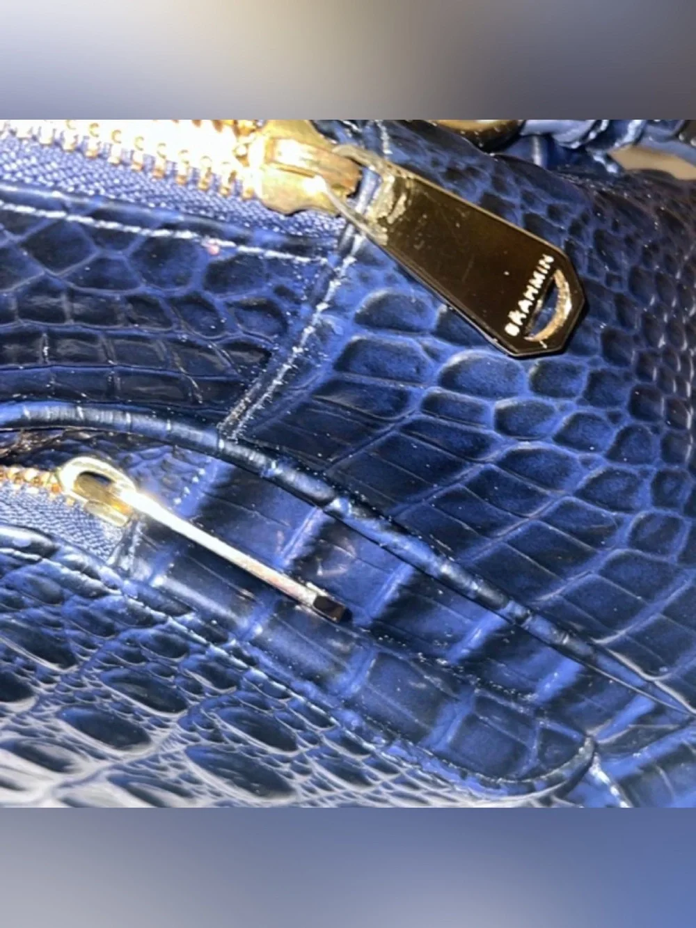 Brahmin backpack